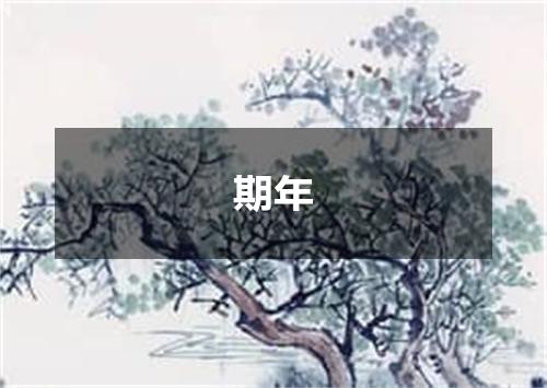 期年
