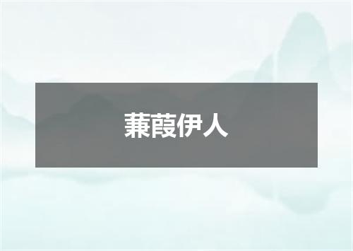 蒹葭伊人