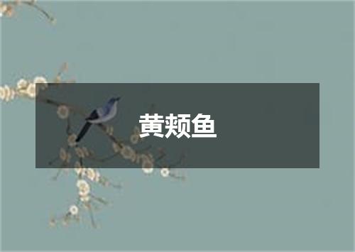 黄颊鱼