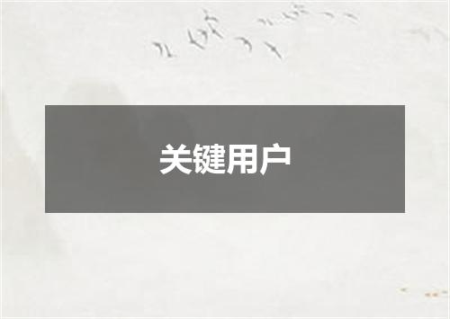 关键用户