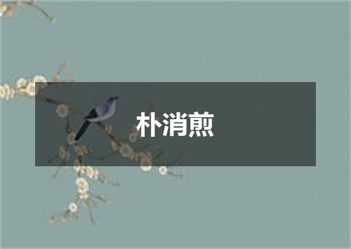 朴消煎