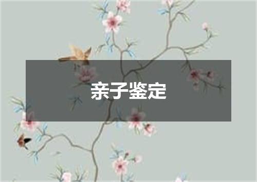 亲子鉴定
