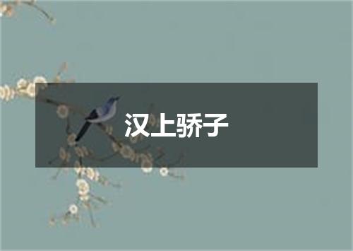 汉上骄子