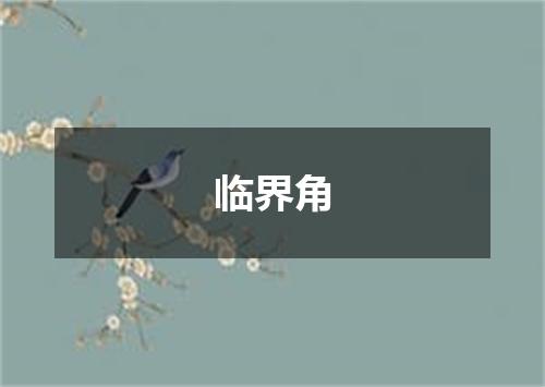 临界角
