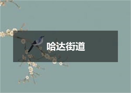 哈达街道
