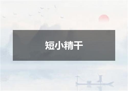 短小精干