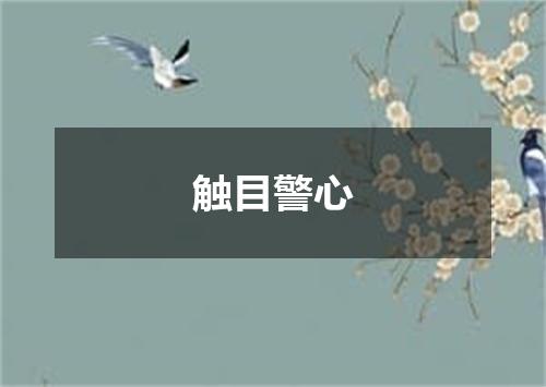 触目警心