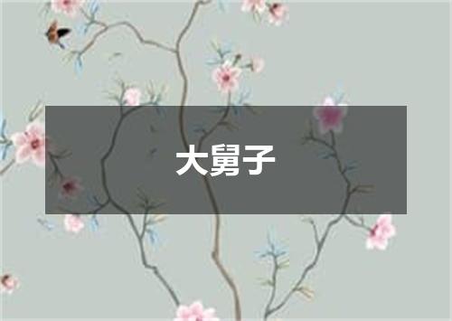 大舅子
