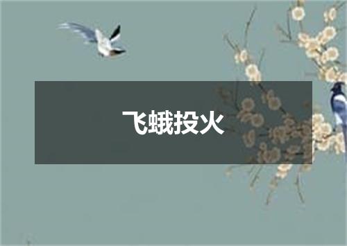 飞蛾投火