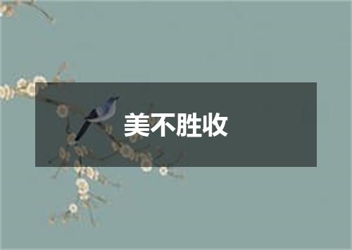 美不胜收