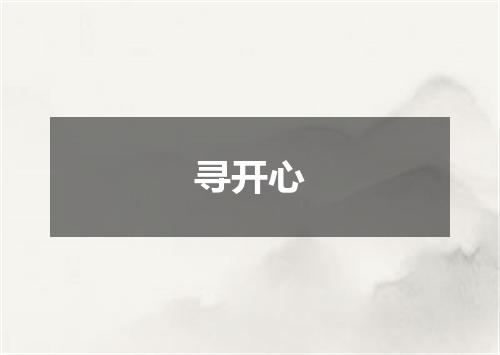 寻开心