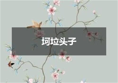 坷垃头子