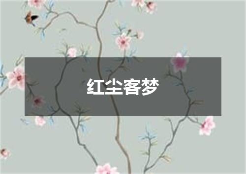 红尘客梦