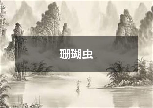 珊瑚虫