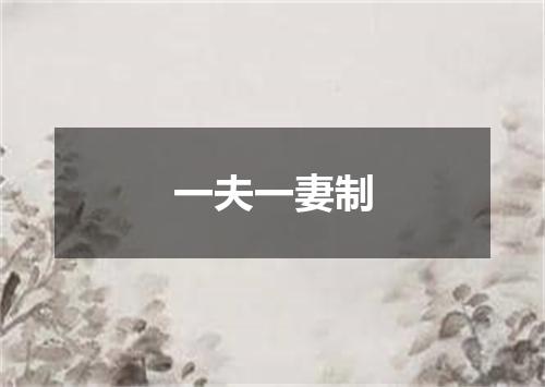 一夫一妻制