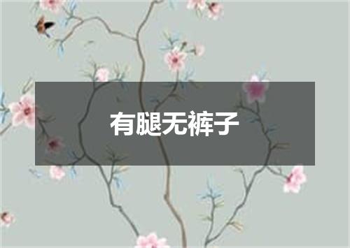 有腿无裤子