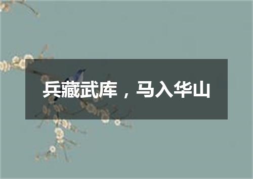 兵藏武库，马入华山