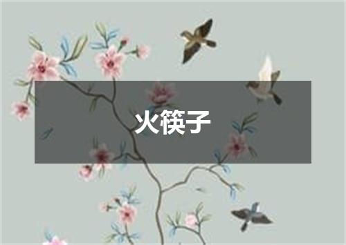 火筷子