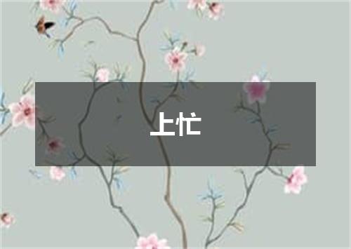上忙