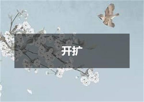 开扩