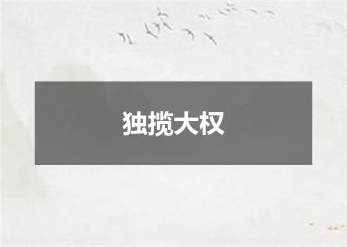 独揽大权