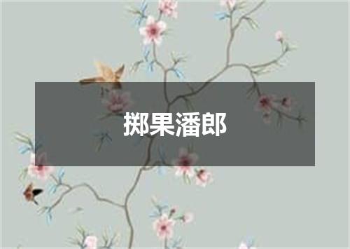 掷果潘郎