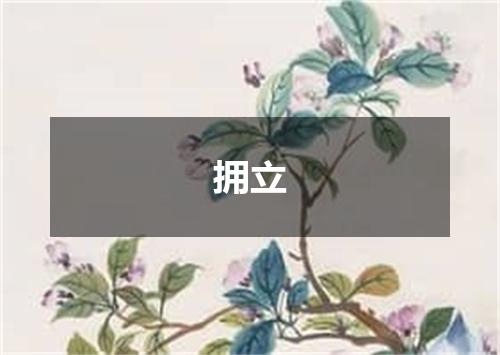 拥立