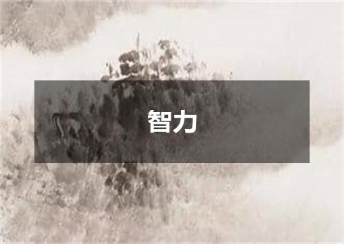 智力