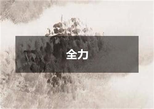 全力