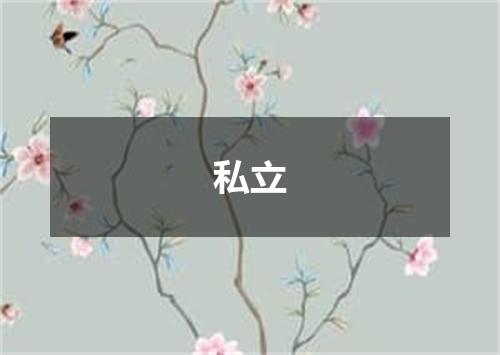 私立