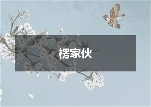 楞家伙