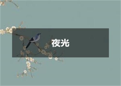 夜光