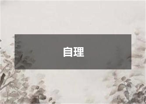 自理