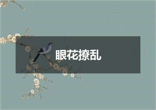 眼花撩乱