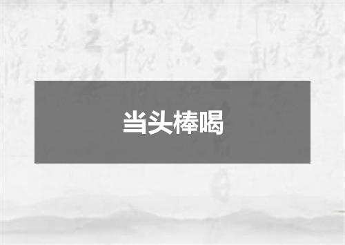 当头棒喝