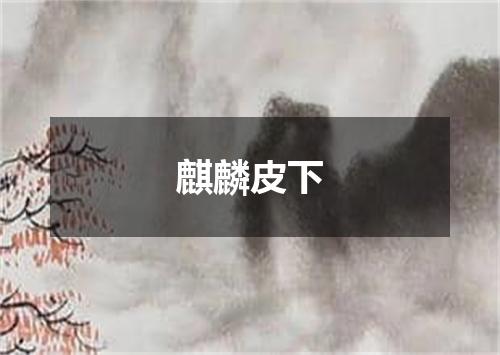 麒麟皮下