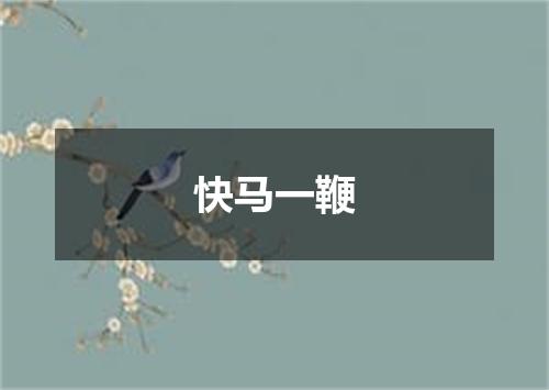 快马一鞭