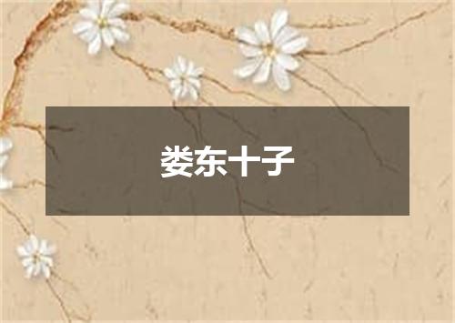 娄东十子