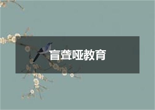 盲聋哑教育