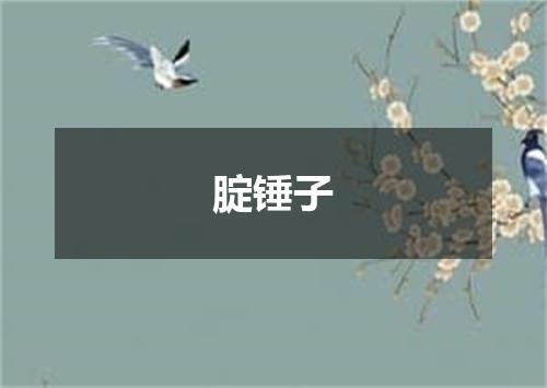 腚锤子