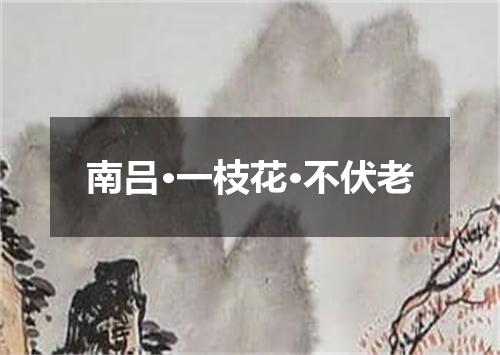 南吕·一枝花·不伏老