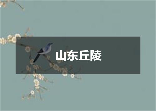 山东丘陵