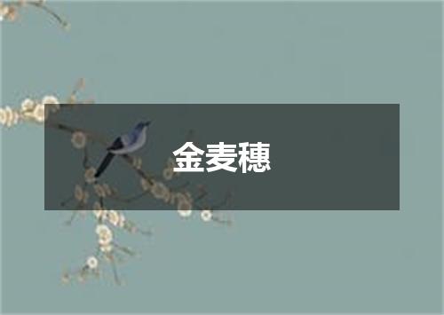 金麦穗