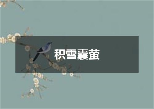 积雪囊萤