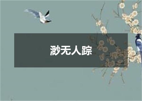 渺无人踪