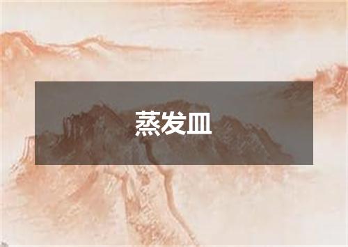 蒸发皿