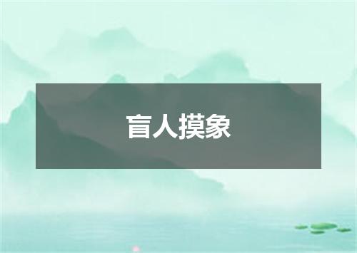 盲人摸象