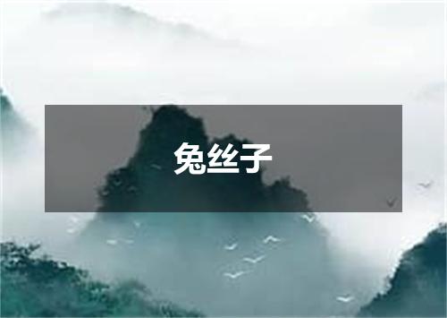 兔丝子