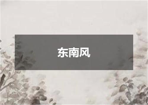 东南风