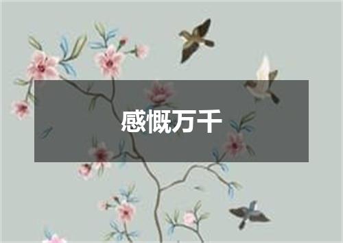 感慨万千